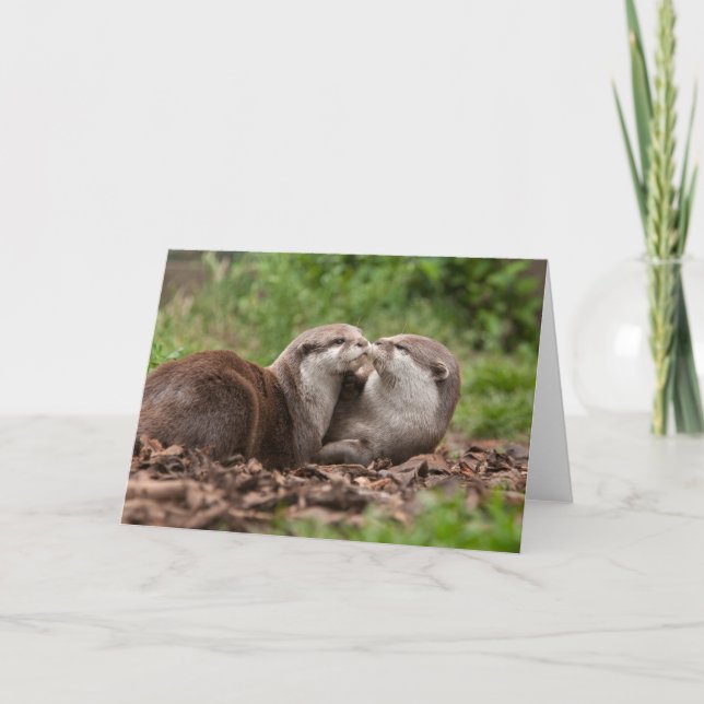 Otter Greeting Card Kort (Framsida)