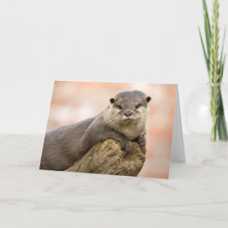 Otter Hälsning Card Kort