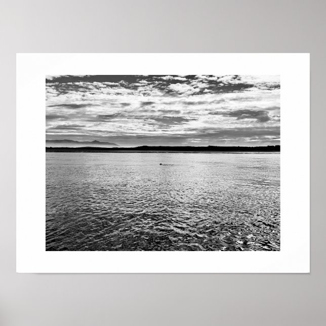 Ötter i Avstånd svartvit fotografi Poster (Framsidan)