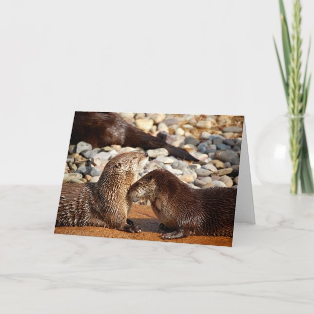 Otter Kärlek Kort (Framsida)