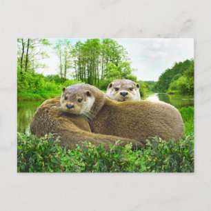 ’Otter Kärlek’ Vykort