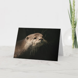 Otter Kort