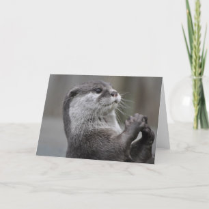 Otter Masterboard-hälsningskort Kort