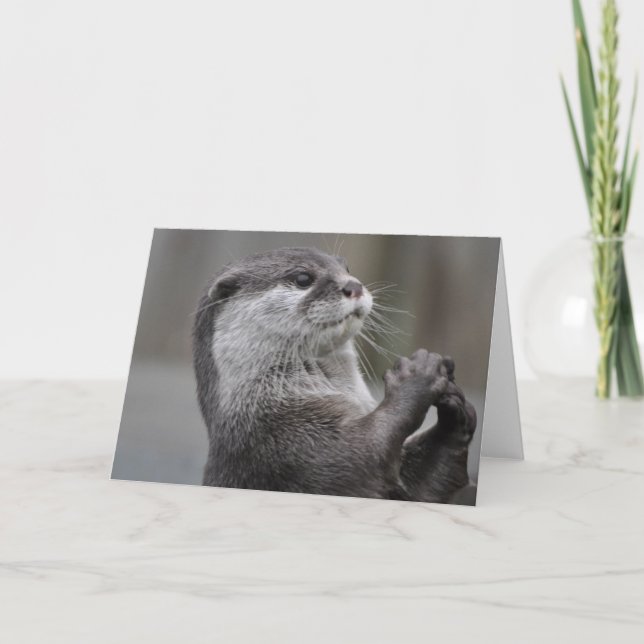 Otter Masterboard-hälsningskort Kort (Framsida)