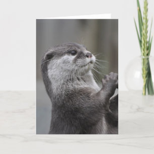 Otter Masterboard-hälsningskort Kort
