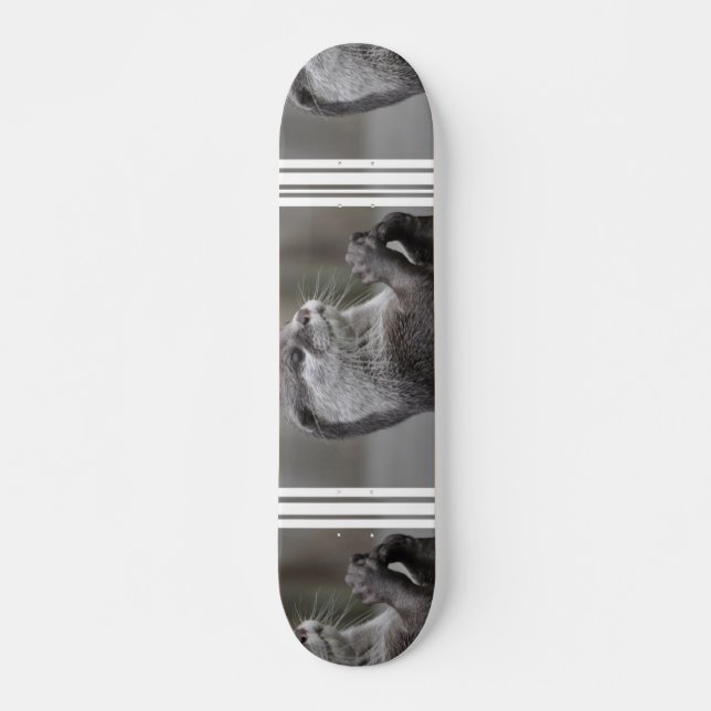 Otter Mästerhjärna Skateboard (Framsida)