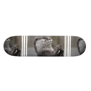Otter Mästerhjärna Skateboard