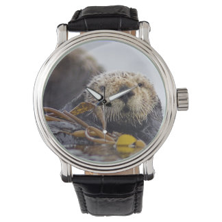 Otter överraskning Watch Armbandsur