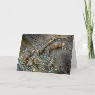Otter Pack-hälsningskort Kort