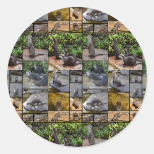Otter Photo Collage Round Stickers. Runt Klistermärke