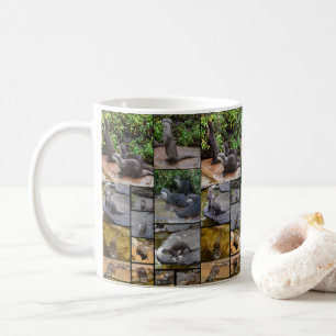 Otter Photo Collage, White Coffee Mugg