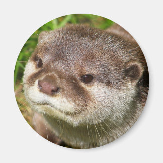 Otter Porträtt Magnet