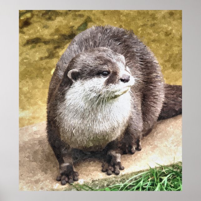 OTTER POSTER (Framsidan)
