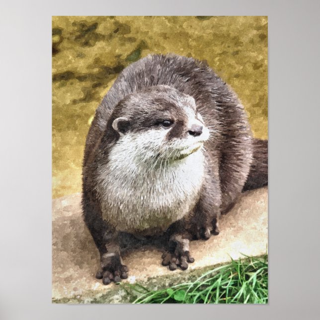 OTTER POSTER (Framsidan)