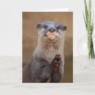 Otter Praying Kort