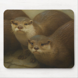Otter Quartet - Spelande bild av vilda djur och vä Musmatta