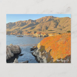 Otter Refuge, CA Vykort