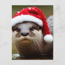 Otter Santa Hat Adsible