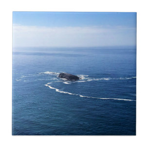 Otter Sten, Cape Foulweather, Newport, Oregon Kakelplatta