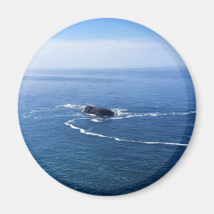 Otter Sten, Cape Foulweather, Newport, Oregon Magnet