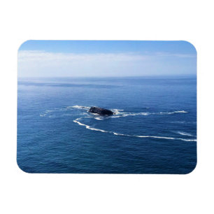 Otter Sten, Cape Foulweather, Newport, Oregon Magnet