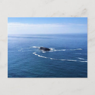 Otter Sten, Cape Foulweather, Newport, Oregon Vykort