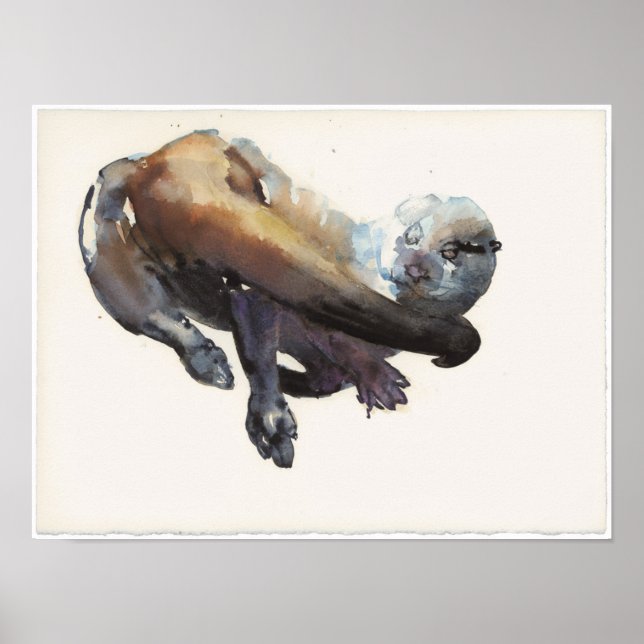 Otter Study I - Talisker Poster (Framsidan)