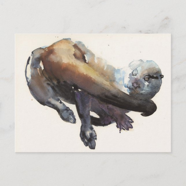 Otter Study I - Talisker Vykort (Framsida)