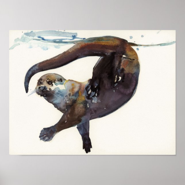 Otter Study II -'Talisker' Poster (Framsidan)