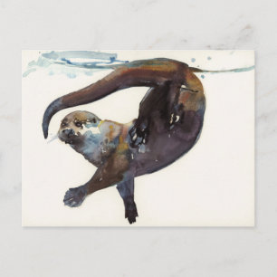 Otter Study II -'Talisker' Vykort