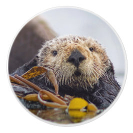 Otter Surprise Knob Knopp