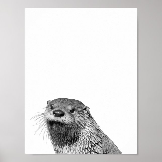 Otter Svart Vitt  Stuga Barnkammare Fotoaffisch Poster (Framsidan)