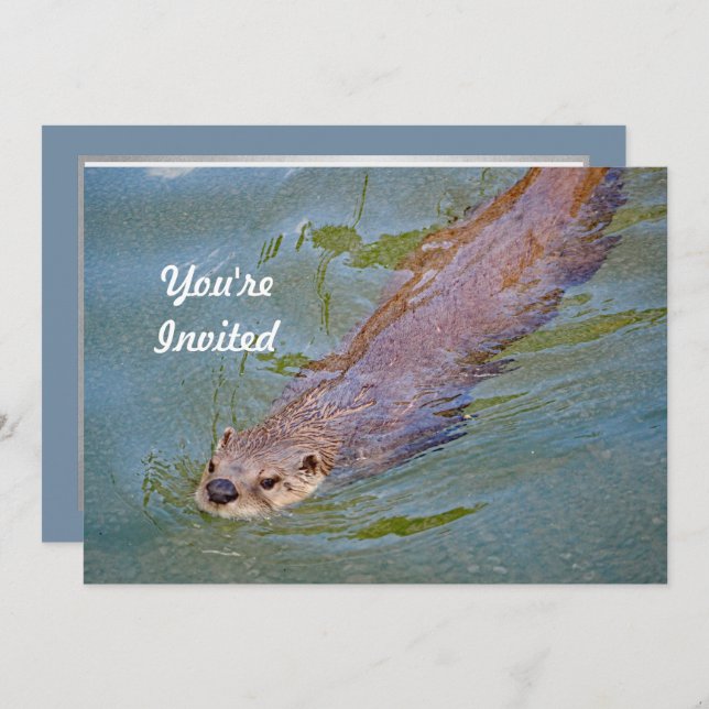 Otter Swimming Wildlife Photo Birthday Inbjudningar (Fram/baksida)