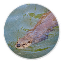 Otter Swimming Wildlife Photo