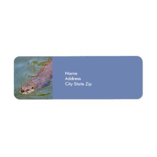 Otter Swimming Wildlife Photo Returadress Etikett