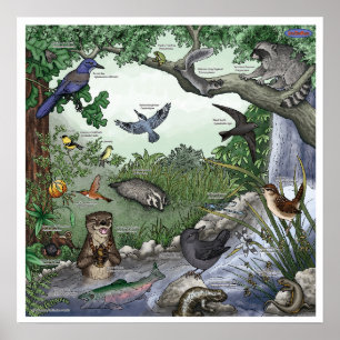 "Otter Twin Magic" poster - med gräns