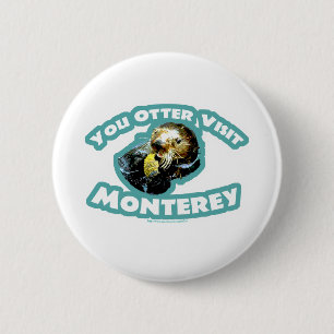 Otter visit Monterey Knapp