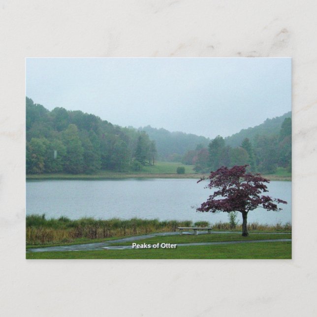 Ötter Vykort (Framsida)