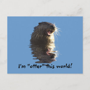OTTER-vykort Vykort