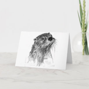 Otter Whiskers Kort