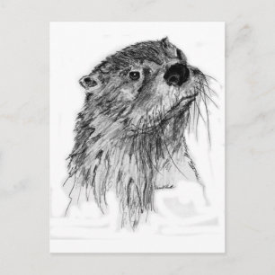 Otter Whiskers Vykort