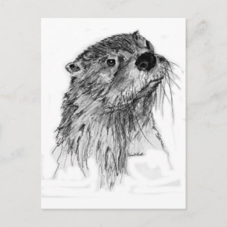 Otter Whiskers Vykort