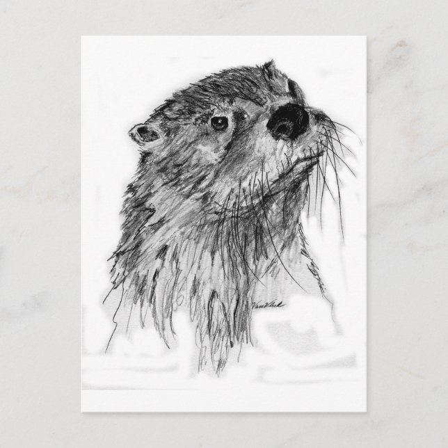 Otter Whiskers Vykort (Framsida)
