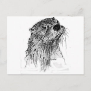 Otter Whiskers Vykort