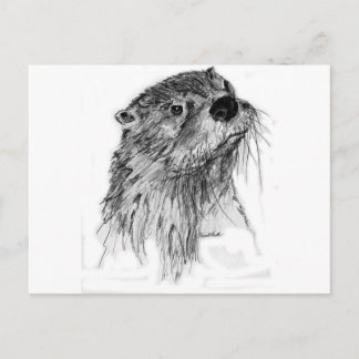 Otter Whiskers Vykort