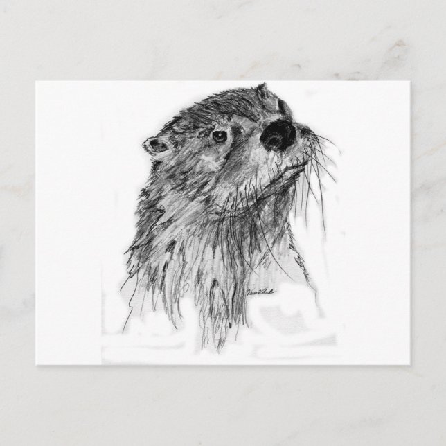 Otter Whiskers Vykort (Framsida)