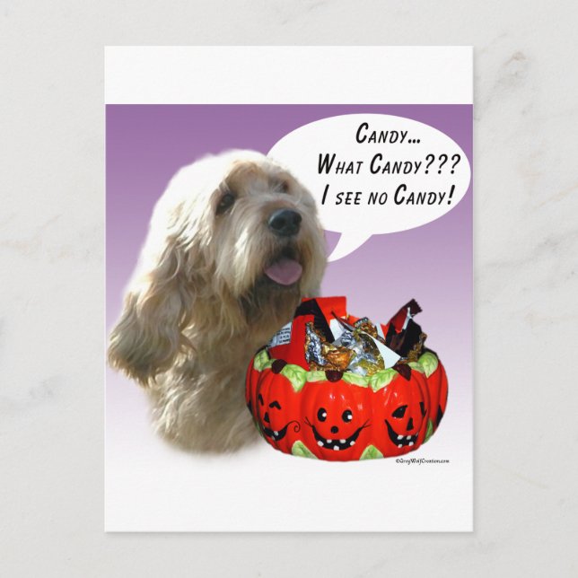 Otterhound Halloween Candy Vykort (Framsida)