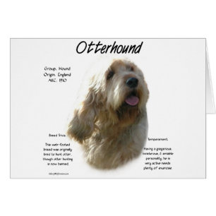 Otterhound-historikdesign Hälsningskort