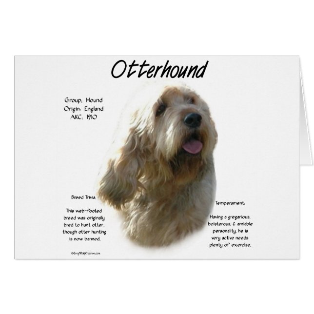 Otterhound-historikdesign Hälsningskort (Framsidan Horizontal)