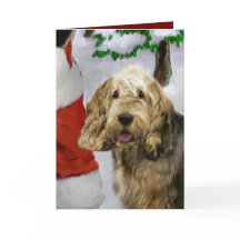 Otterhound-julklappar